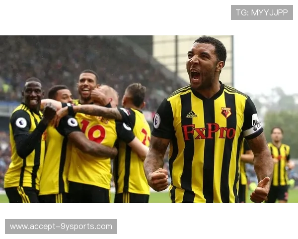 沃特福德足球俱乐部发展历程与未来展望探讨